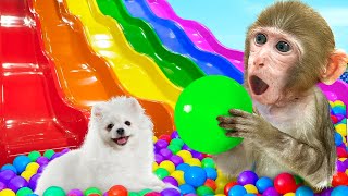 KiKi Monkey jump into Ball Pit Pool from Waterslide & make Miniature Rainbow Jelly |KUDO ANIMAL KIKI