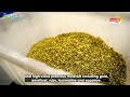 U RWANDA RWERETSE ISI YOSE AMABUYE YAGACIRO RWIBITSEHO NIGIHE RWATANGIRIYE GUCUKURA U RWANDA RWERETSE ISI YOSE AMABUYE YAGACIRO RWIBITSEHO NIGIHE RWATANGIRIYE GUCUKURA