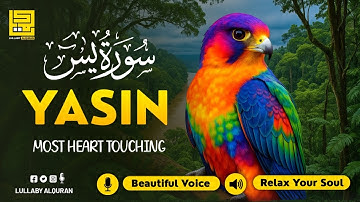 Relaxing Surah Yasin for Sleep, Depression, & Anxiety ✦ Yaseen سورة يس ✦ Peaceful Quran ✦ Hejazi