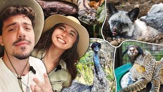 Adapt Visits Our Animal Sanctuary
