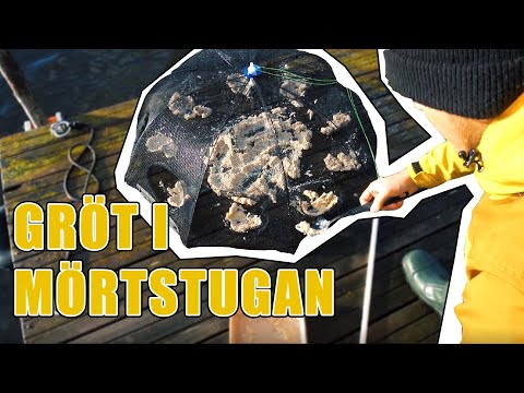 Video: Hur Man Fångar Mört På Vintern