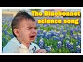 Texas Springtime Video Quiz