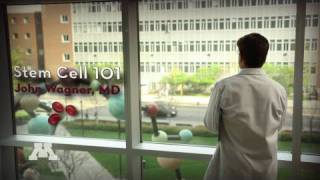 Stem Cell 101
