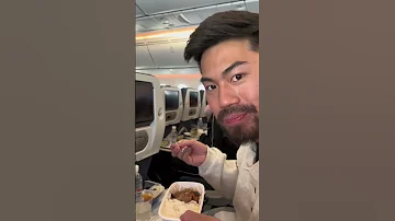 Rating The Food On A Japanese Airline 