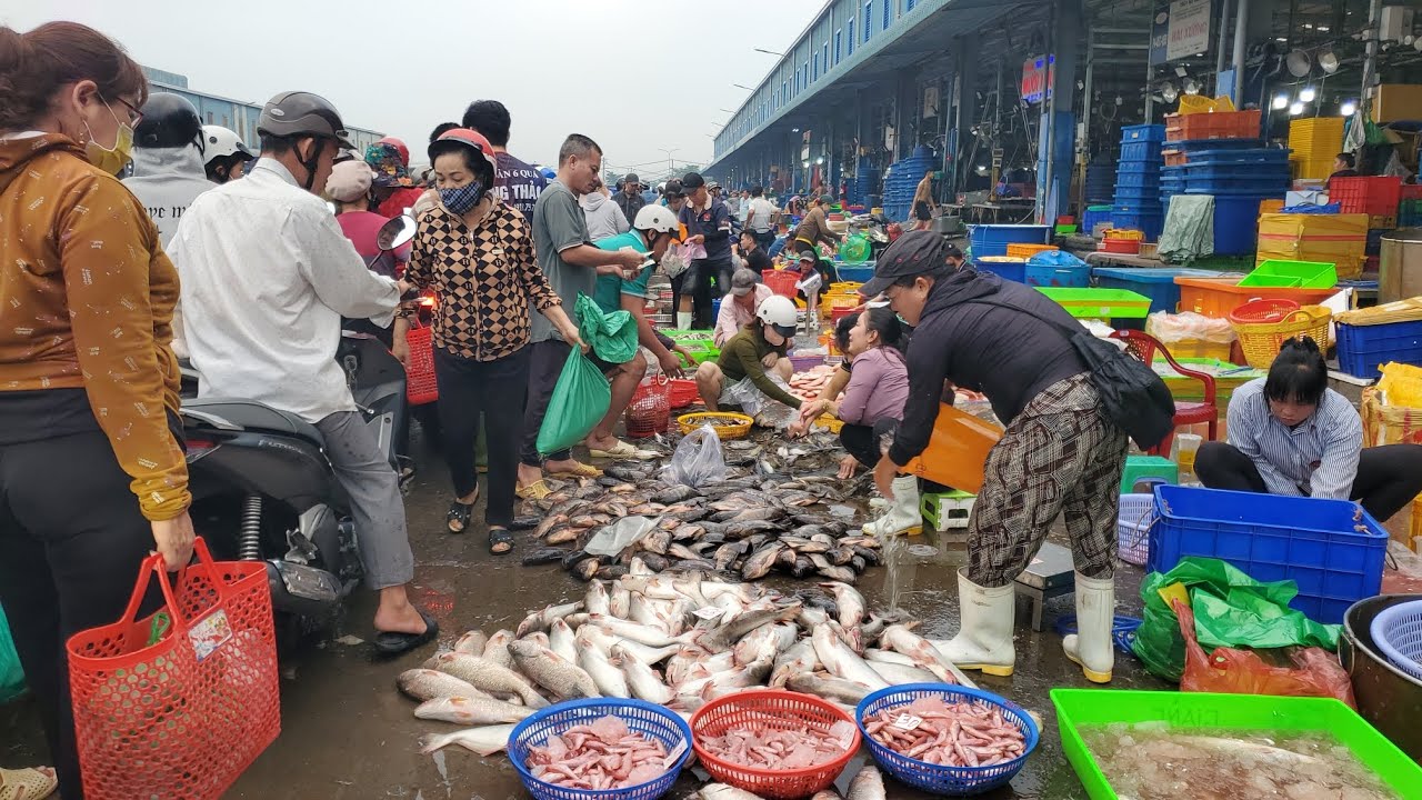 Chợ đầu mối bình điền sáng thứ tư cá sòng 45k cá phi 30k cá chẻm 85k 