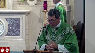 Fifteenth Sunday in Ordinary Time