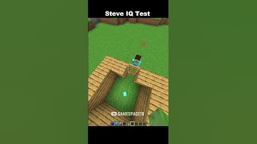 Bruhh DO NOT check the sound whatever you do #shorts #minecraft #memes