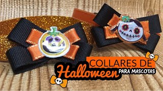 Haz Collares para mascotas con tema de Halloween (Día de Muertos) 2018