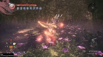 #仁王2 #nioh2【仁王2 Nioh 2】妖怪化 Yokai Shift-Dream Of The Demon-妖怪化暴力平A无脑秒杀BOSS!!!