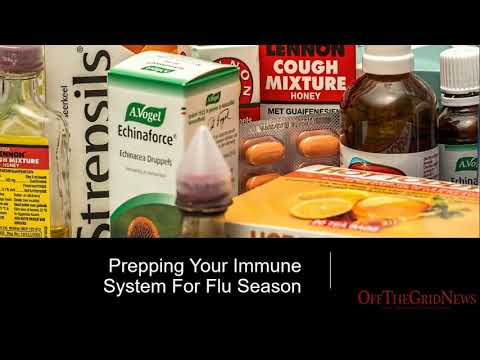 How To Prep Your Immune System For Flu Season