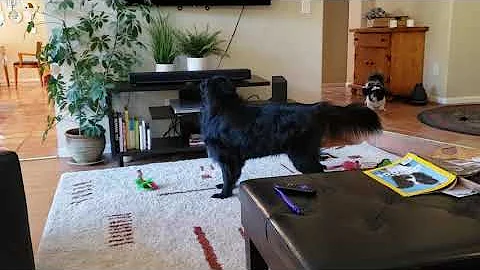 Mira and Pepe