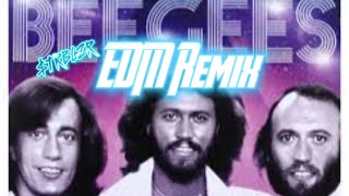 Bee Gees EDM Techno House Disco 70s Soft Rock Remix