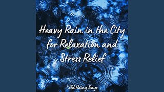 Rain Sounds for Relaxation and Stress Relief Pt 20
