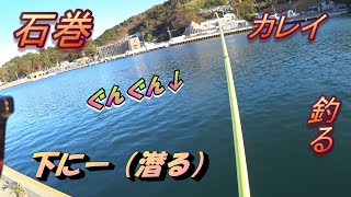 石巻でカレイを釣る！他もいろいろ釣れる！パラダイス！