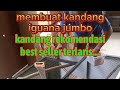 Tutorial membuat kandang iguana jumboreptil indonesia