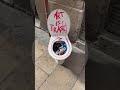 Arte – Francisco de Pájaro, urban art video, arte urbano