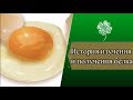 История изучения и получения белка