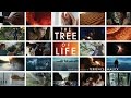 The Tree of Life | Crafting an Existential Masterpiece