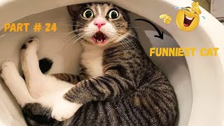 Funny Cats Compilation Crazy Cat Moments Part 24