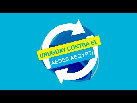 Cómo cuidarnos del Aedes aegypti