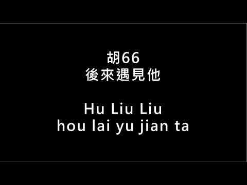 【胡66 Hu Liu Liu - 後來遇見他 hou lai yu jian ta】 歌词 + 拼音 | Lyrics & Pin Yin 【抖音熱搜】