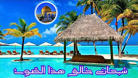 القرآن الكريم وكانك تسمعه لأول مرة💘💝💛🌹🌸 بصوت القارئ حمزة مدبوح 🌺💕.💮💗💜