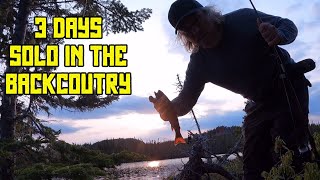 3 Days Solo in the Backcountry by 13prevail Bushcraft 5,344 views 11 months ago 52 minutes