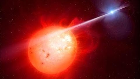 We just found a rare white dwarf pulsar