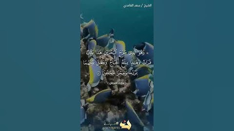 سورة الفرقان حالات واتس اب سعد الغامدي