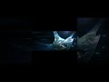The Ark #halo #halolore