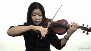 D'Addario Helicore Violin Strings