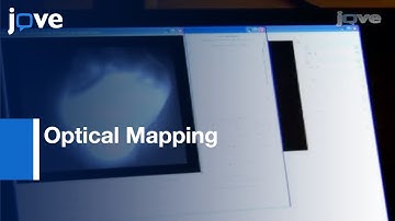 Optical Mapping: Langendorff-Perfused Rat Hearts l Protocol Preview