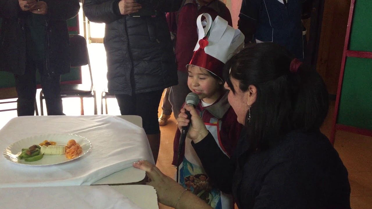 PROGRAMA PROMOCIÓN DE SALUD DE YUNGAY. camera iphone 8 plus apk
