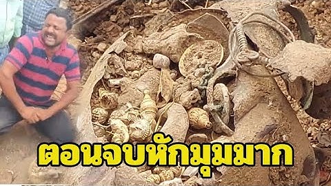ยิ่งกว่าถูกหวย! หนุ่มดวงเฮง ขุดเจอ เงิน-ทอง-ของโบราณ ในที่ดิน หลังเตรียมที่ทำบ้านจัดสรร