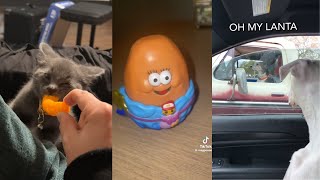 Memes I Watch Before The TikTok Ban 🤣 by Monstro 2,352 views 1 hour ago 16 minutes