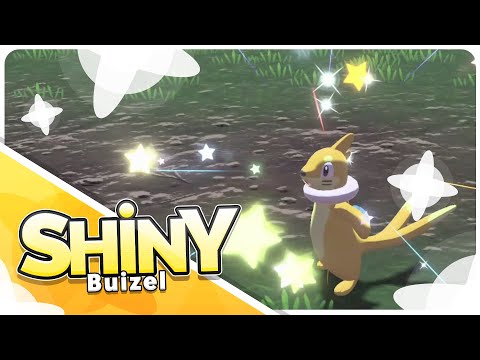[Live] Shiny Buizel in Legends Arceus Wild Encounter!