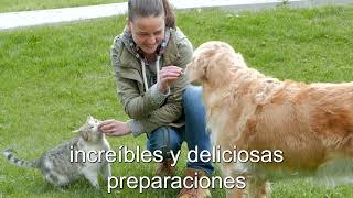 Pasteleria y Nutricion Para Mascotas AEL