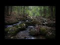 Gentle Rivers & Stream Sound - Bachlauf ruhig und entspannt