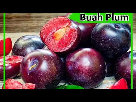 Video: Plum - Manfaat, Kandungan Kalori, Kontraindikasi, Vitamin