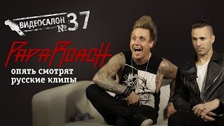 Papa Roach смотрят русские клипы (Видеосалон №37)(Новые клипы, старые критики. Они вернулись, чтобы сказать последнее слово о русской музыке. Это великий..., 2015-07-15T11:56:30.000Z)