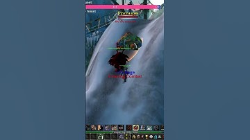 😂 YOU WON’T BELIEVE THIS HAPPENED IN TURTLE WOW CLASSIC+! 🐢