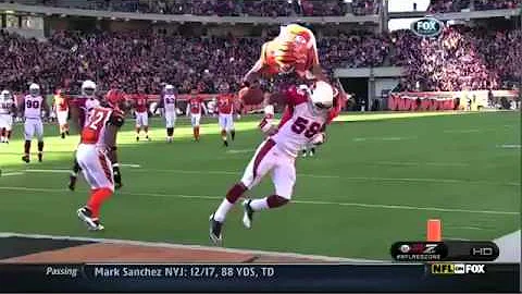 Jerome Simpson   Front Flip Touchdown  NFL