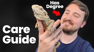 Bearded Dragon Care