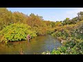 Fly Fishing the Driftless Region for Wild Brown Trout