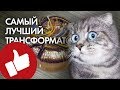 САМЫЙ ЛУЧШИЙ ТОРОИДАЛЬНЫЙ ТРАНСФОРМАТОР ДЛЯ УСИЛИТЕЛЯ