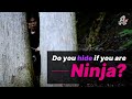 How would you walk run and hide if you are a ninja