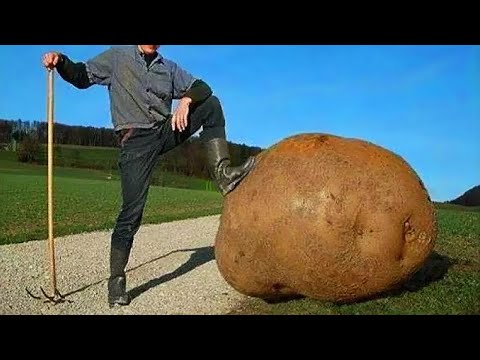 10 أرقام قياسية خارقة تم تسجيلها فى موسوعة جينيس سوف تلحس عقلك