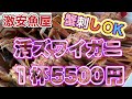 令和6年11月8日の激安魚屋@福井県敦賀市相木魚問屋