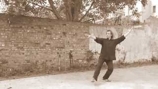 Wudang Taijiquan Forms - Cheng Tinhung 鄭天熊 Lineage