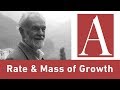 Anti-Capitalist Chronicles: Rate and Mass of Growth